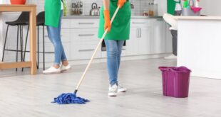 شغالات بالشهر بجدة حبشيات