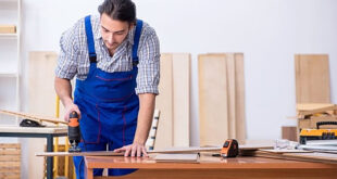 نجار الحزام الذهبي