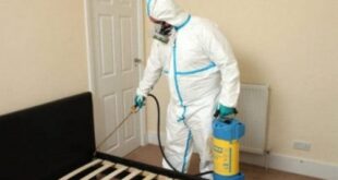 مكافحة حشرات حي الفيصلية الدمام