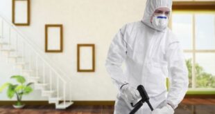 مكافحة حشرات بالعوامية القطيف