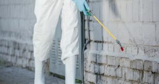 شركة مكافحة حشرات بالضاحية الدمام