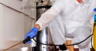 شركة مكافحة الناموس بسيهات