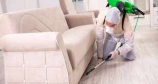 شركة مكافحة حشرات بالقطيف