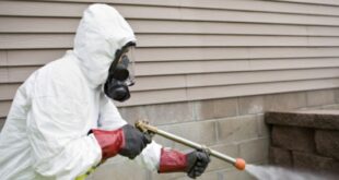 شركة مكافحة العته بأم الساهك