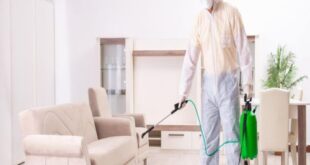 شركة مكافحة حشرات بالعزيزية