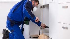 شركة رش حشرات بالراكة