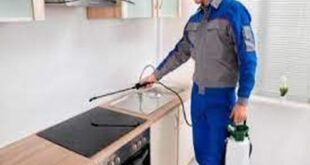 شركة مكافحة النمل الابيض بأم الساهك