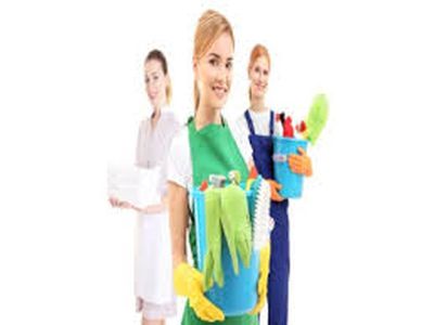 ارقام خادمات منازل بالشهر النرجس