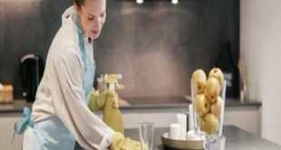 عاملات منزلية من مدغشقر