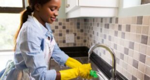 شغالات كينيا بالشهر