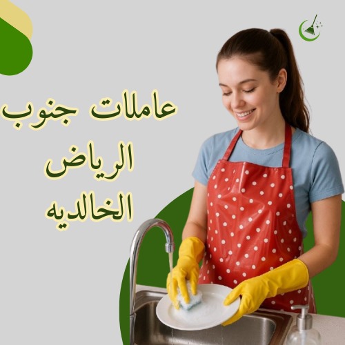 عاملات منازل من مدغشقر