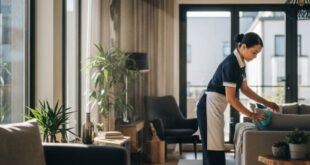 شغالات بشهر ينبع